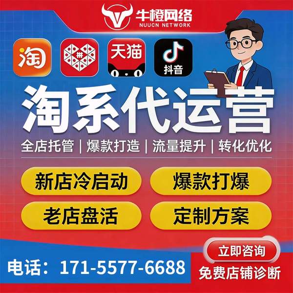 吴江电商代运营