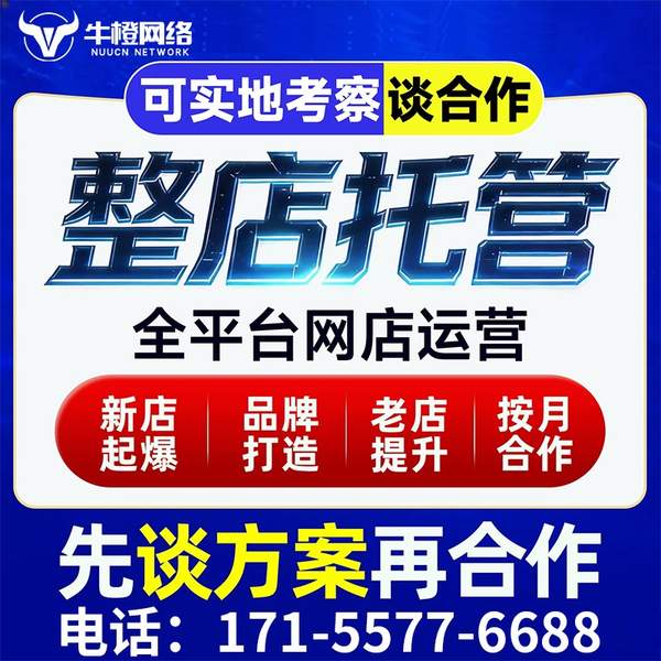 吴江电商代运营