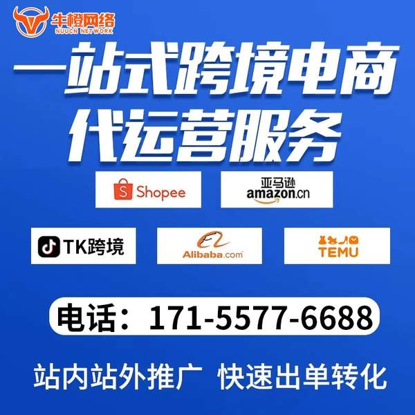 吴江电商代运营